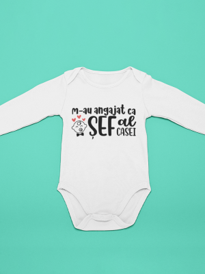 prezentare-body-micul-sef-al-casei